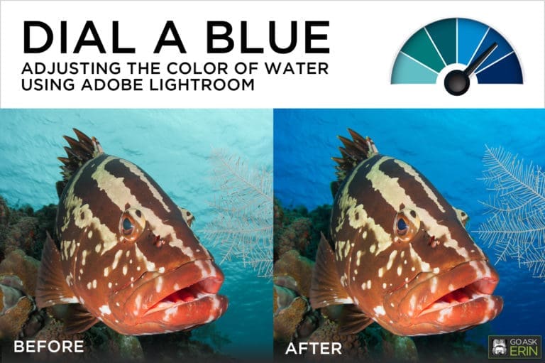 Dial-a-Blue – Adjusting the Color of Water using Adobe Lightroom