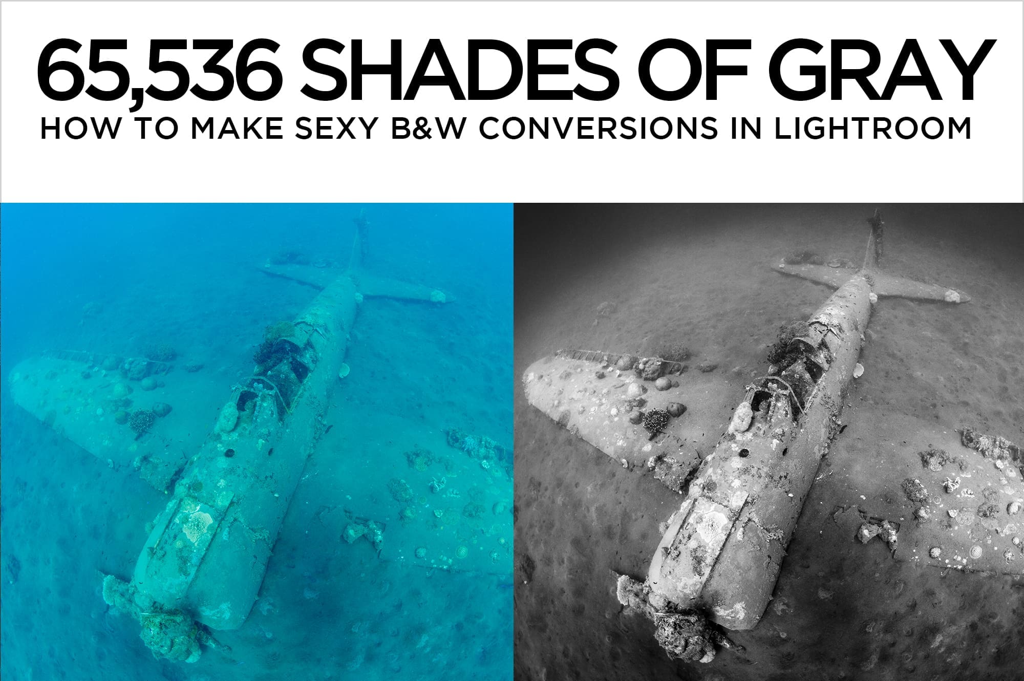 65,536 Shades of Gray