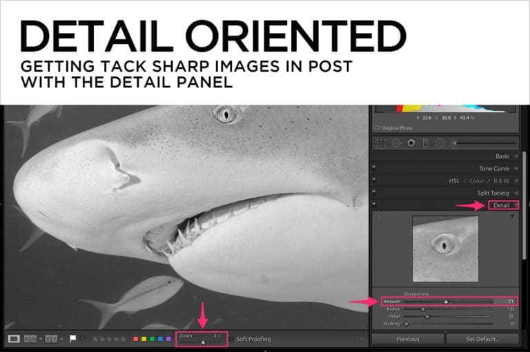 Detail Oriented – Getting Tack Sharp Images in Post with the Detail Panel