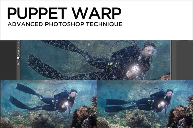 Puppet Warp