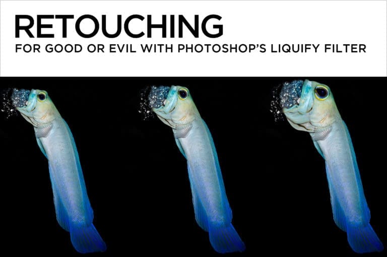 Retouching for Good or Evil with Photoshop’s Liquify Filter