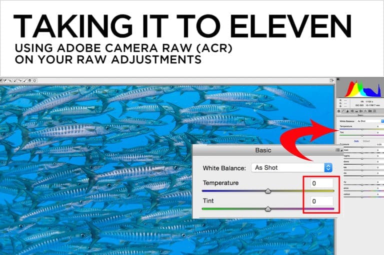 Take Your RAW Adjustments to Eleven