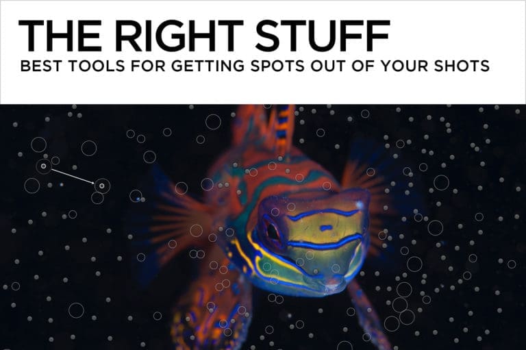 The Right Stuff – Best Tools for Getting Spots Out of Your Shots