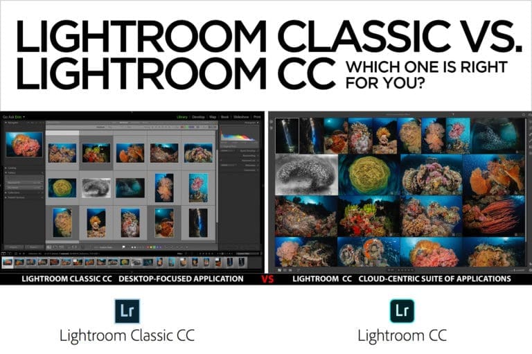 Lightroom Classic CC vs. Lightroom CC – Which one is right for you?