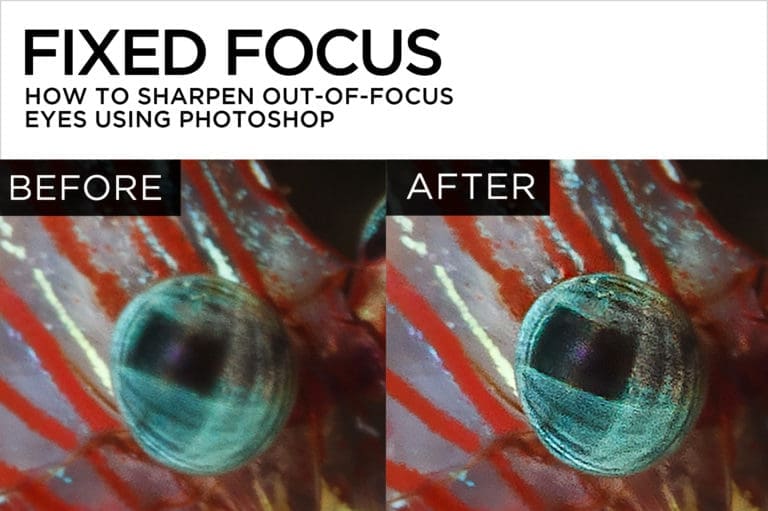 Fixed Focus – How to Sharpen Out-of-Focus Eyes Using Photoshop