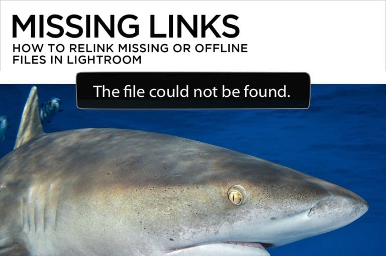 How to Relink Missing or Offline Files in Lightroom