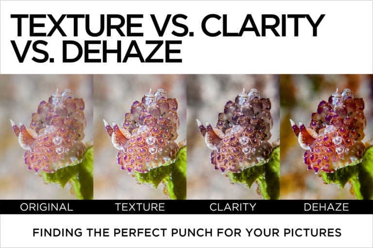 Texture vs. Clarity vs. Dehaze