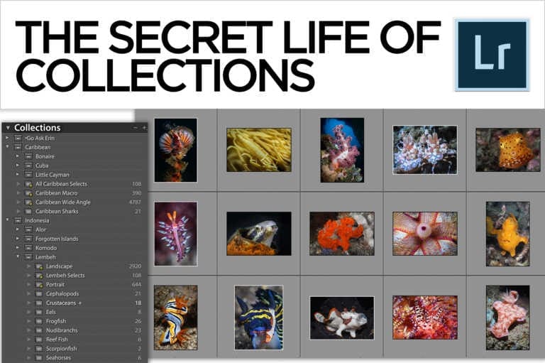 The Secret Life of Collections in Lightroom