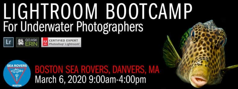 Lightroom Bootcamp for Underwater Photographers