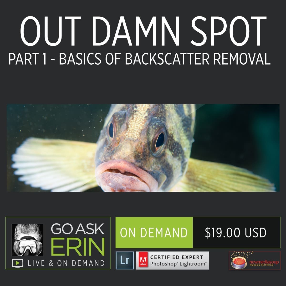 Out Damn Spot-Part 1 Basics of Backscatter Removal