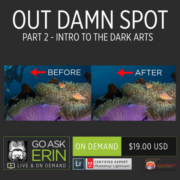 Out Damn Spot-Part 2 - Intro to the Dark Arts