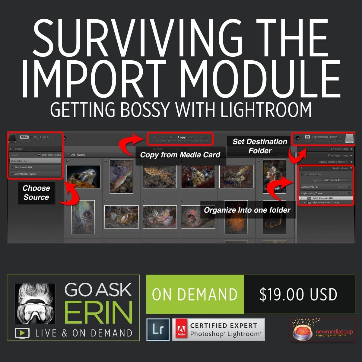Surviving the Import Module