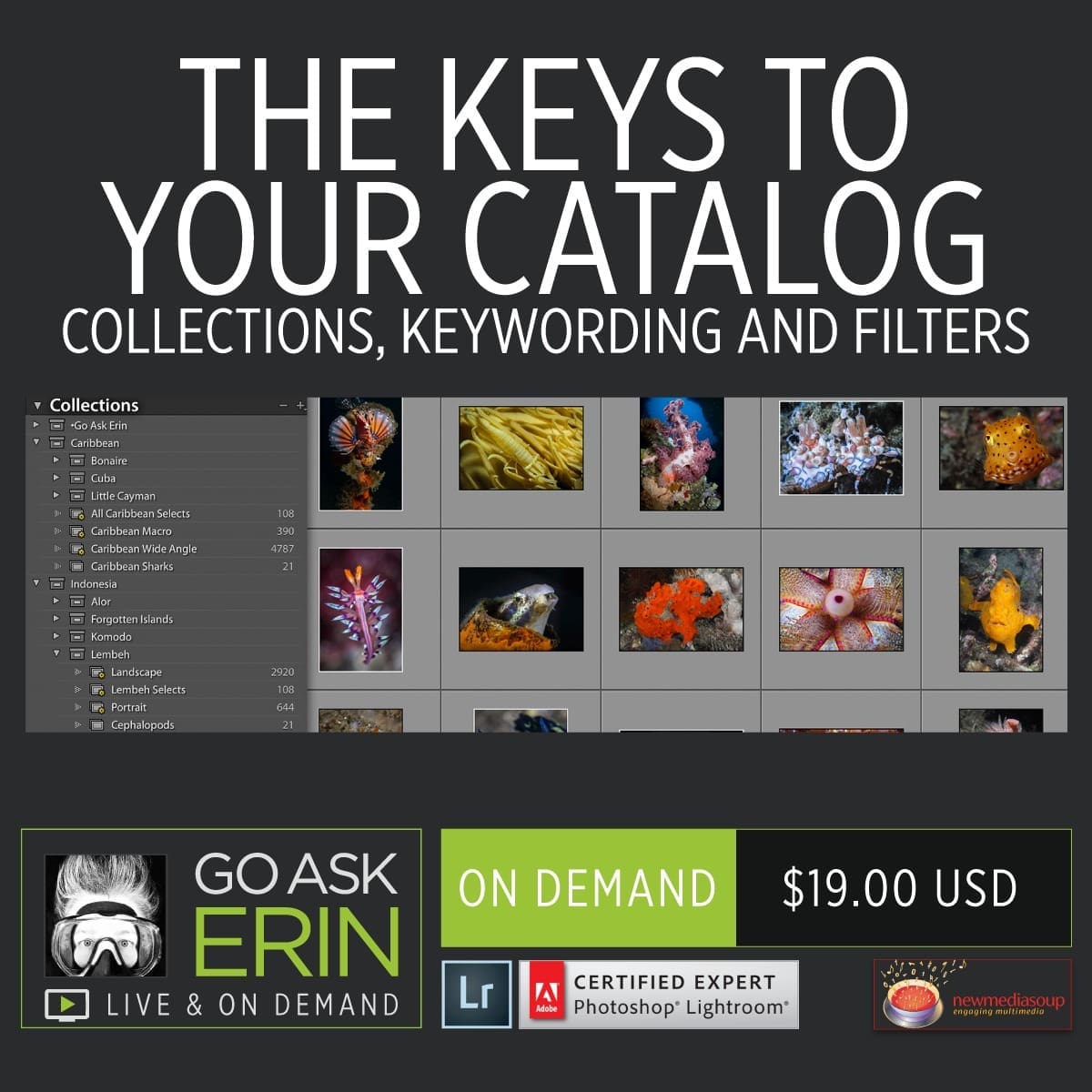 The Keys to Your Catalog – Collections, Keywording and Filters