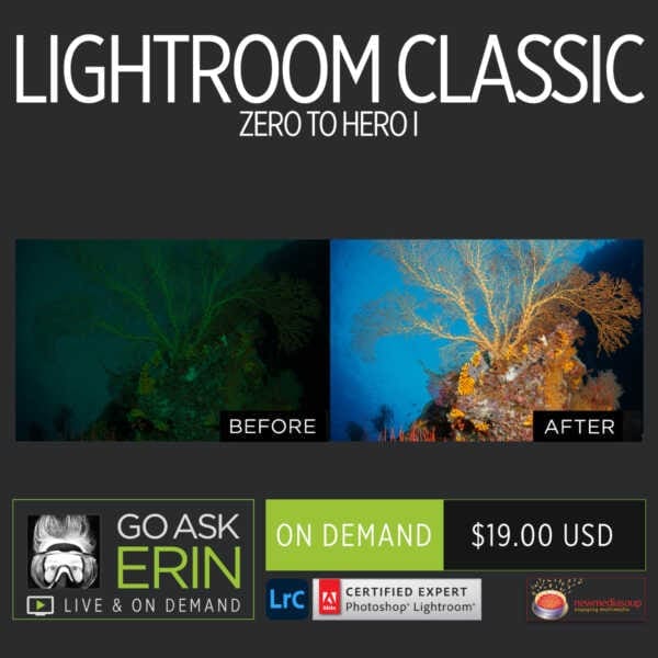 Lightroom Classic Zero to Hero I