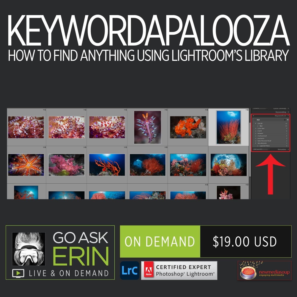 KEYWORDAPALOOZA – How to Find Anything Using Lightroom’s Library