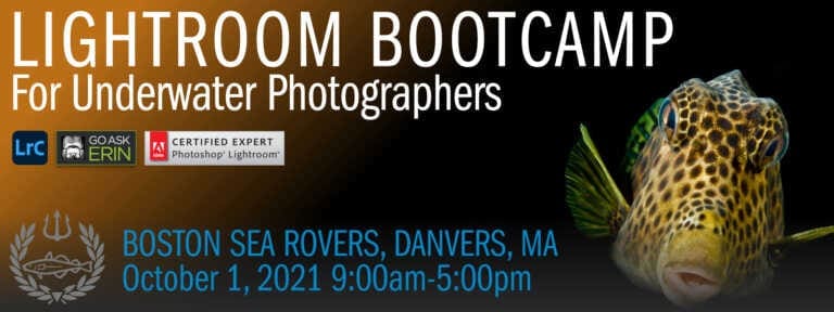 Lightroom Bootcamp for Underwater Photographers