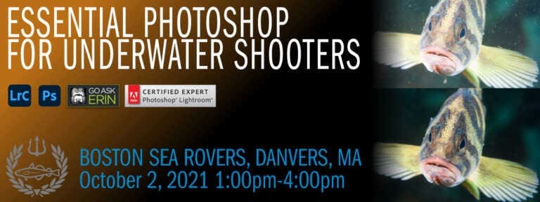 Essential Photoshop for Underwater Shooters