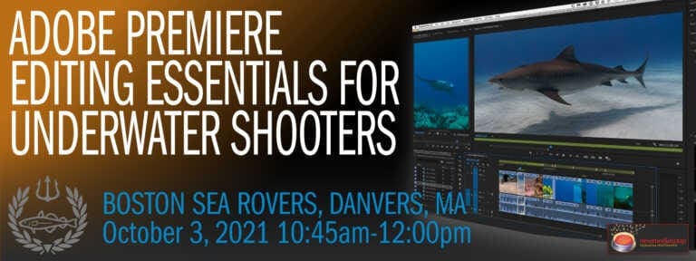 Putting it all together – Basics of Video Editing for Underwater Videographers