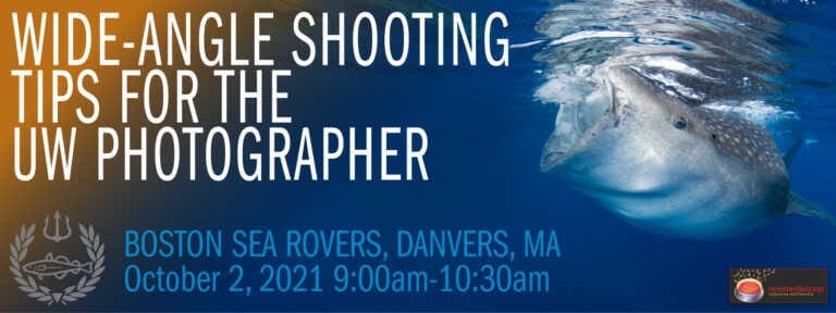 Wide-Angle Shooting Tips for the Underwater Photographer