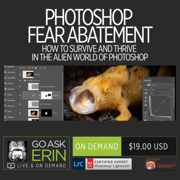 Photoshop Fear Abatement – How to Survive and Thrive in the Alien World of Photoshop